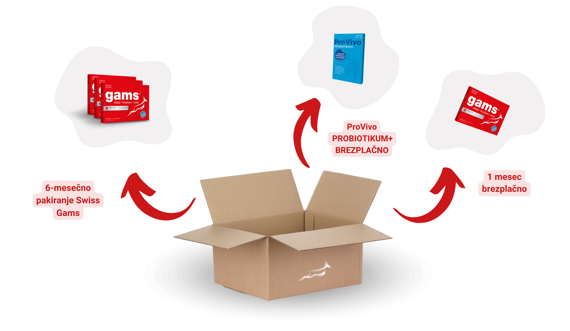 Grafična predstavitev odprte kartonske škatle, iz katere vodijo puščice do treh izdelkov: 6-mesečnega pakiranja Swiss Gams, probiotičnega izdelka ProVivo in enomesečnega pakiranja Swiss Gams.